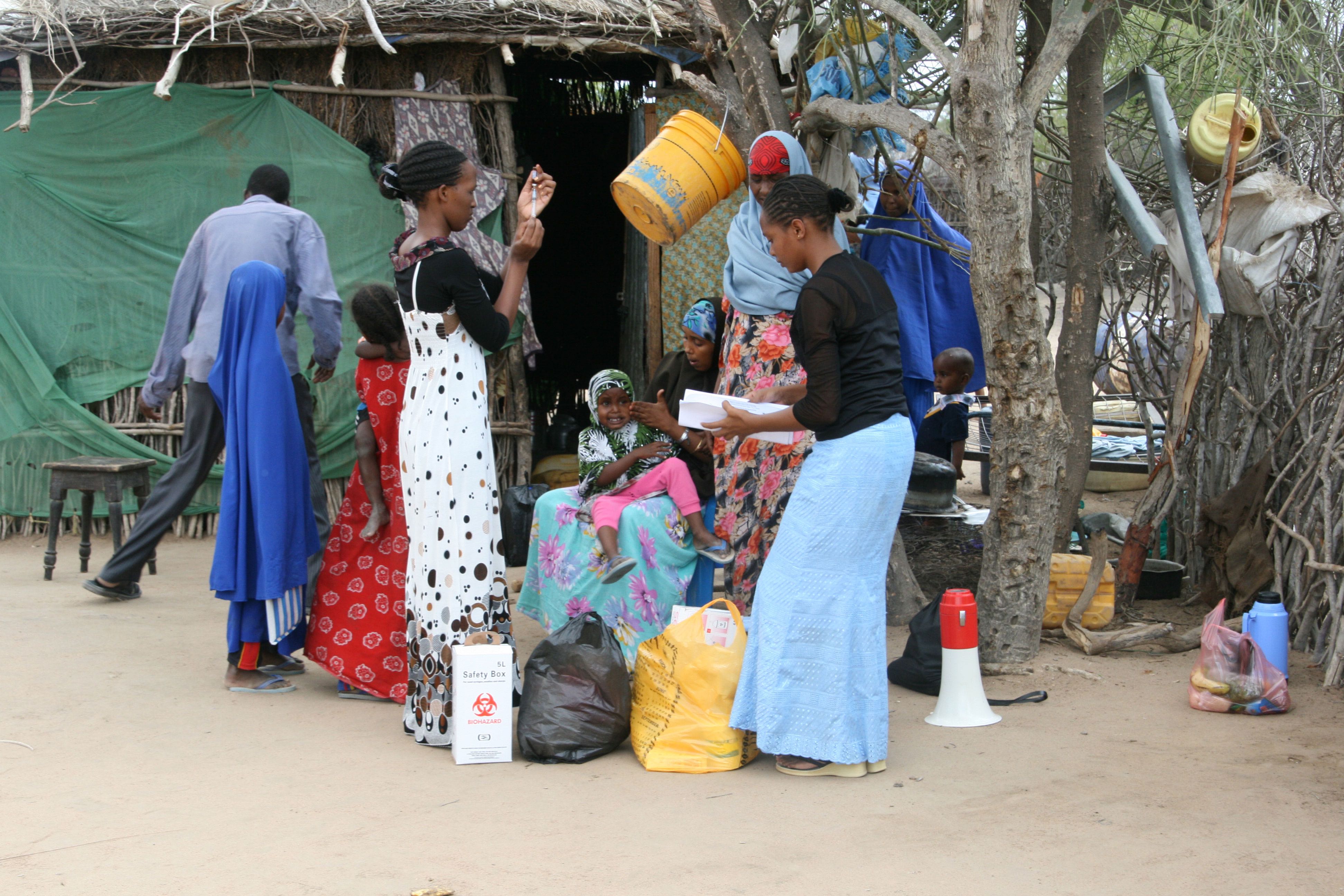 The African Regional Health Report 2014 - The health of the people: what works