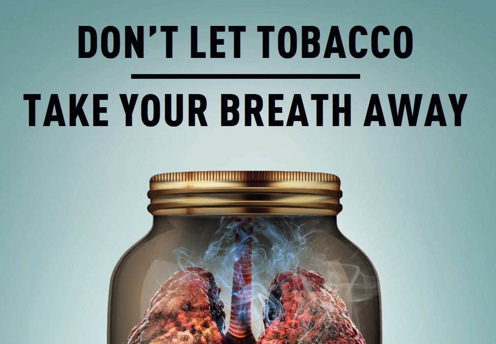 

<!-- THEME DEBUG -->
<!-- THEME HOOK: 'field' -->
<!-- FILE NAME SUGGESTIONS:
   ▪️ field--node--title--gard-community-knowledge-resourc.html.twig
   ✅ field--node--title.html.twig
   ▪️ field--node--gard-community-knowledge-resourc.html.twig
   ▪️ field--title.html.twig
   ▪️ field--string.html.twig
   ▪️ field.html.twig
-->
<!-- 💡 BEGIN CUSTOM TEMPLATE OUTPUT from 'themes/custom/whokap/templates/field/field--node--title.html.twig' -->
WHO: Don’t let tobacco take your breath away
<!-- END CUSTOM TEMPLATE OUTPUT from 'themes/custom/whokap/templates/field/field--node--title.html.twig' -->

